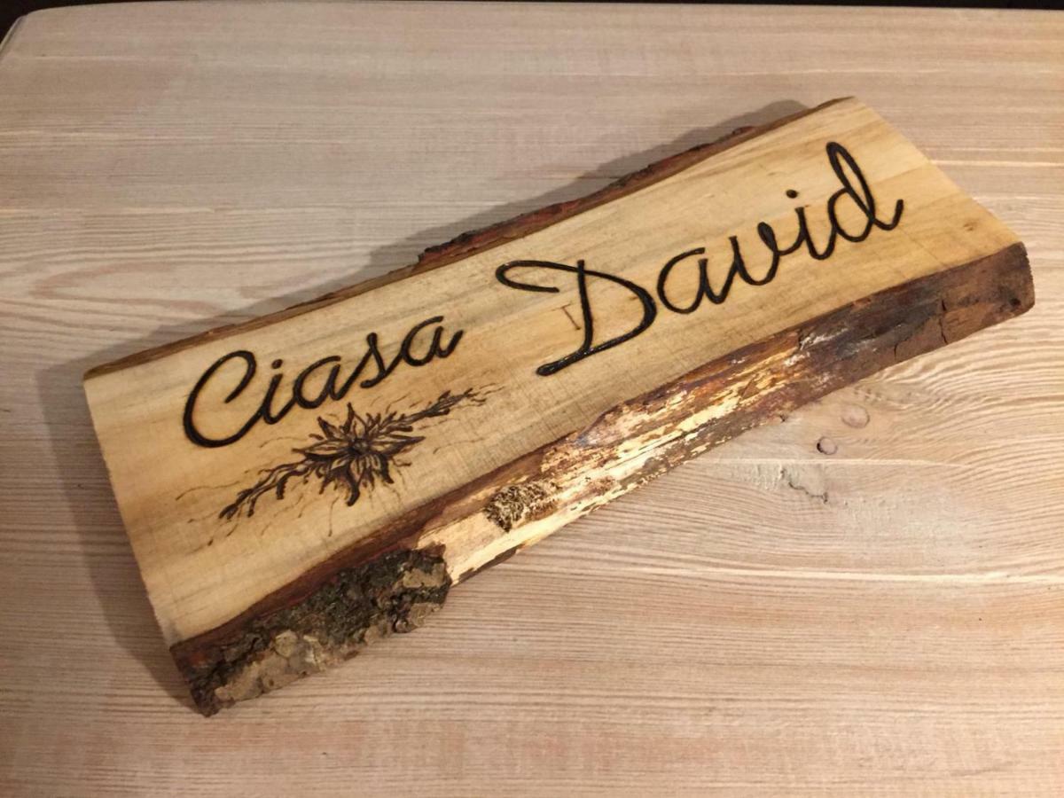 サン・ヴィジリオ・ディ・マレッベCiasa David Marebbeアパートメント エクステリア 写真